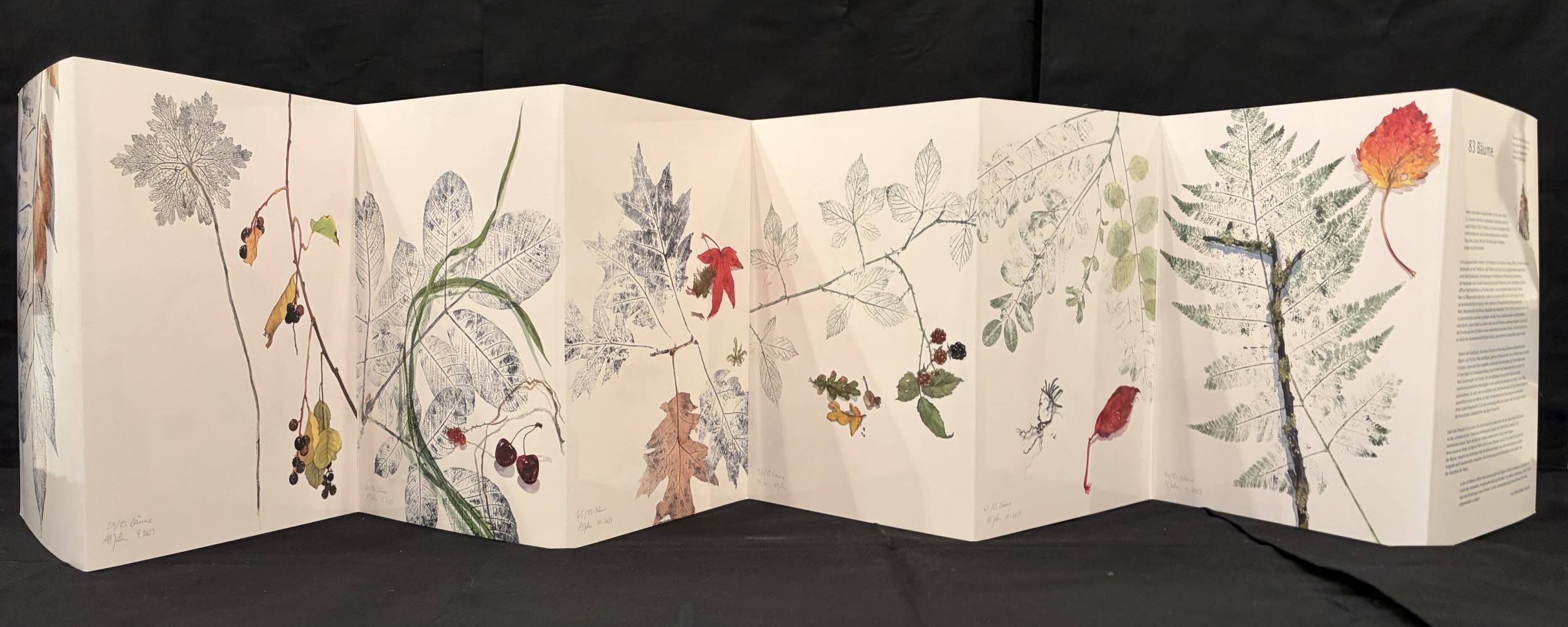 R�ckseite des Leporellos