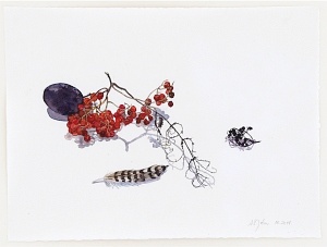 Ebereschen mit Zwetsche und Holunder (Sorbus aucuparia), 2014, Aquarell und Graphit auf Hadern